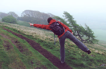 janet cerretani bio image